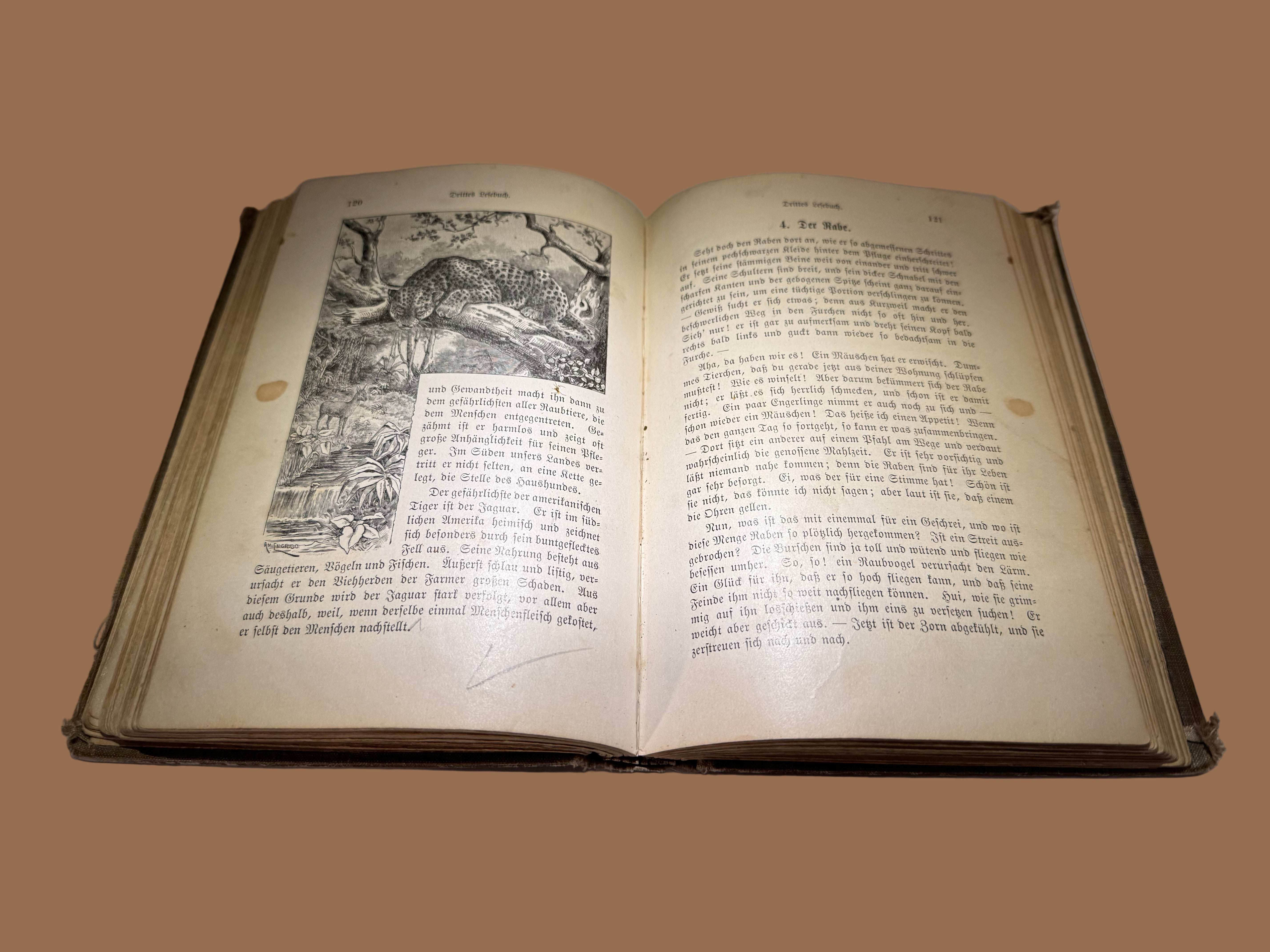 Early 20th Century German School Book