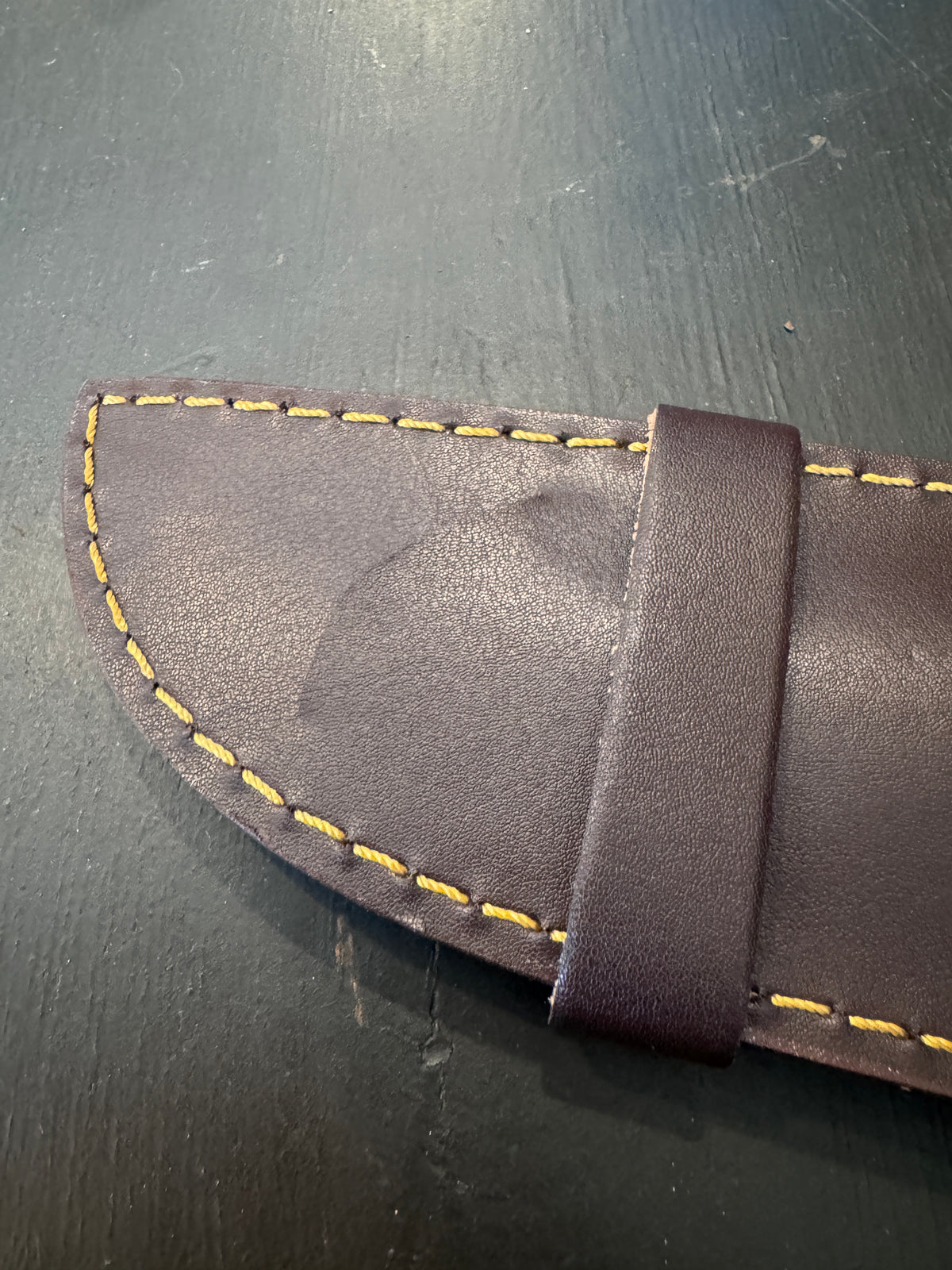 Hunting Knife w/Blue Stripe