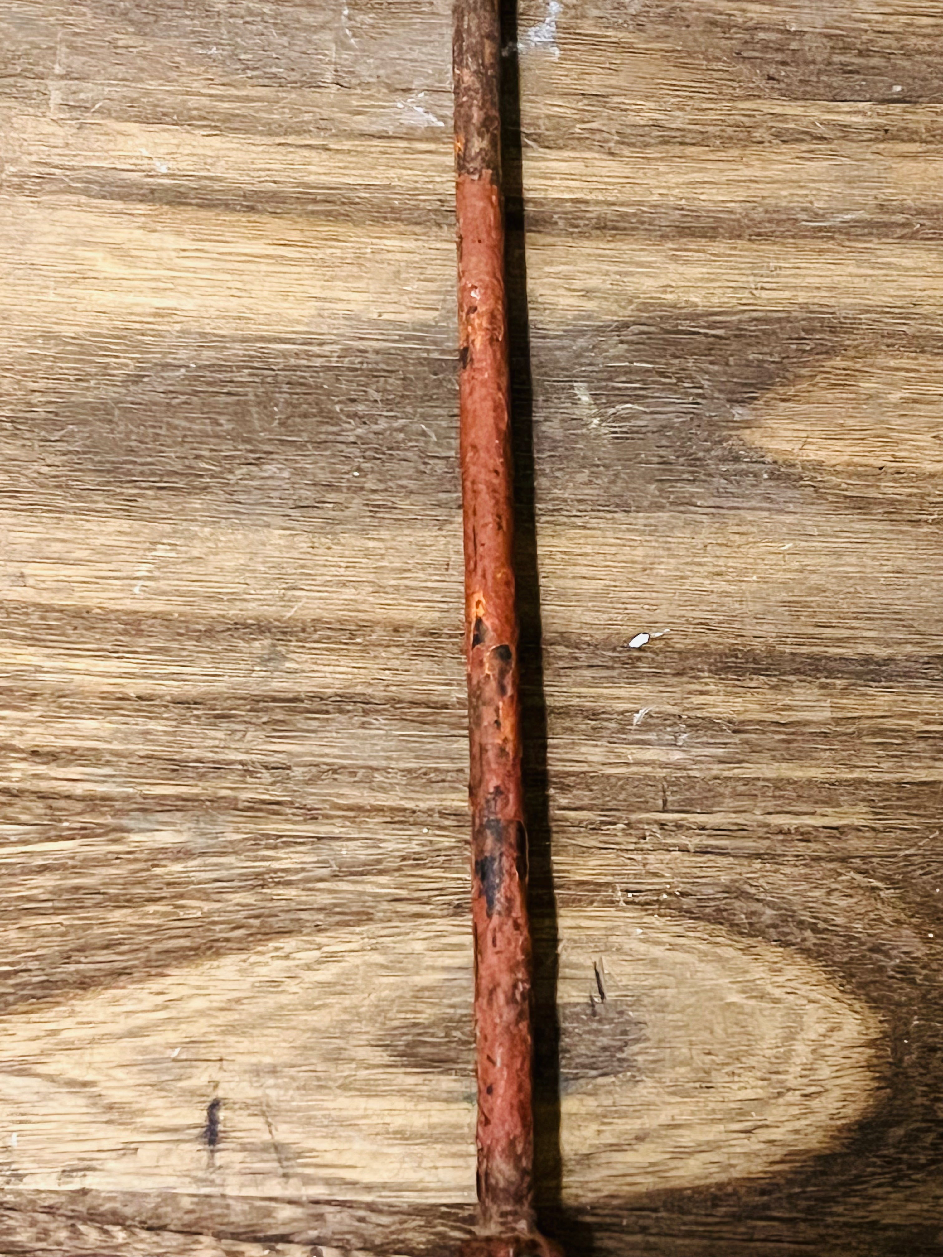 Antique Small Branding Iron