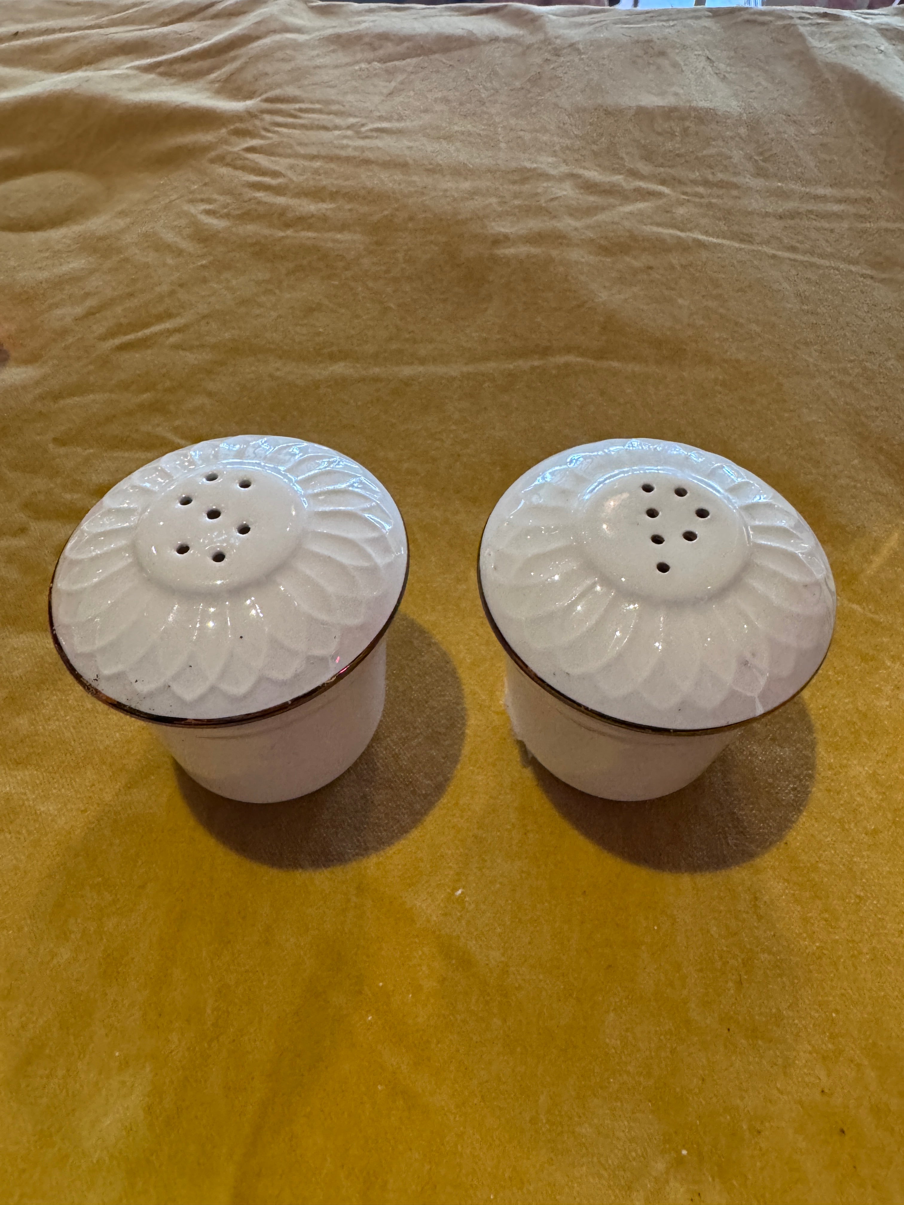 Porcelain Salt & Pepper Shaker Set
