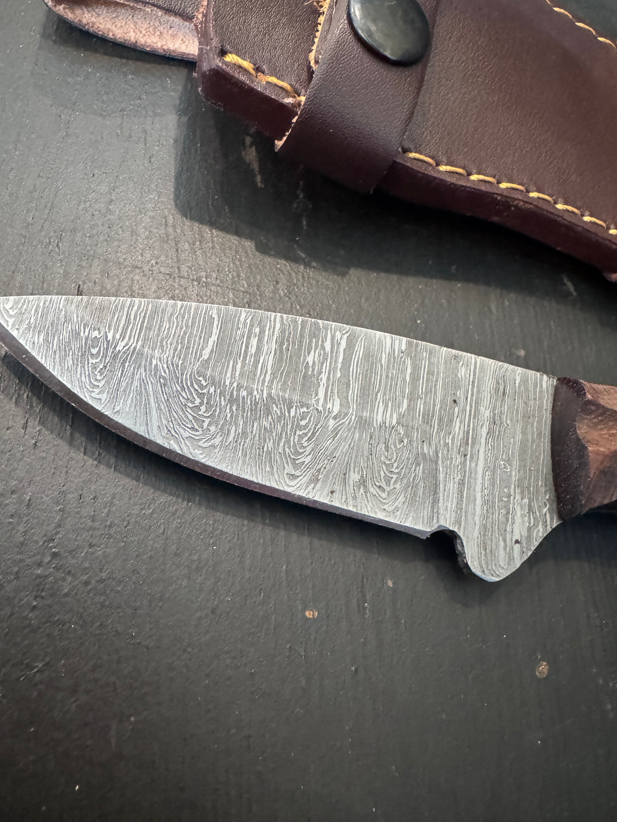 Hunting Knife w/Blue Stripe