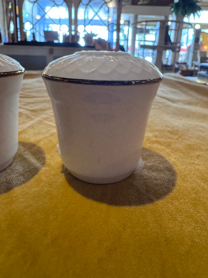 Porcelain Salt & Pepper Shaker Set