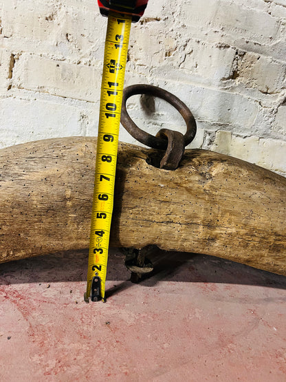 Primitive Oxen Yoke