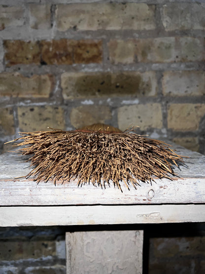 Vintage Whisk Broom