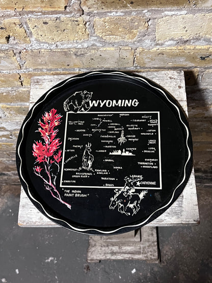 Wyoming Vintage Souvenir Tray