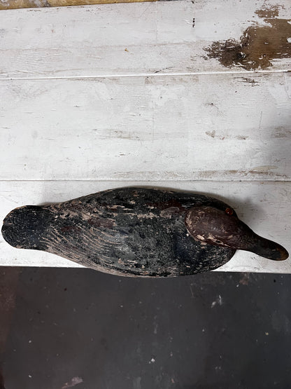 Vintage RedHead Decoy Duck