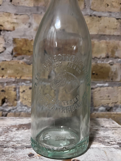 Sanitary Bottle